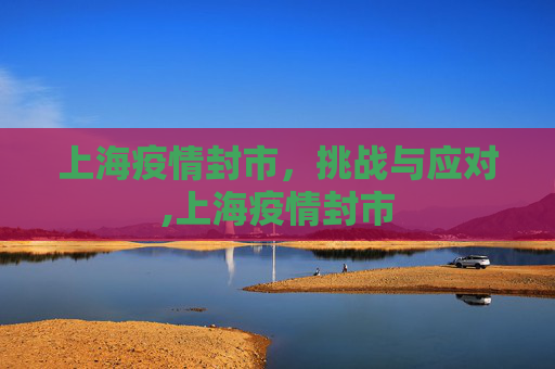 上海疫情封市，挑战与应对,上海疫情封市
