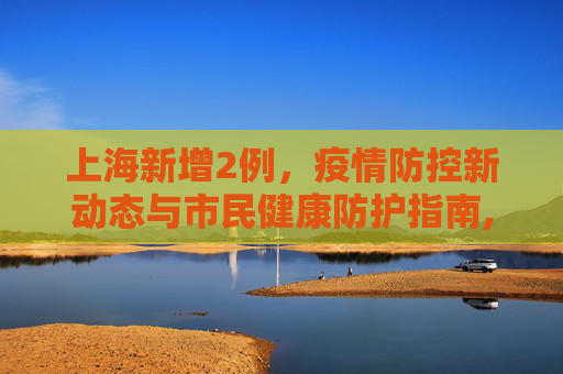 上海新增2例，疫情防控新动态与市民健康防护指南,上海新增2例