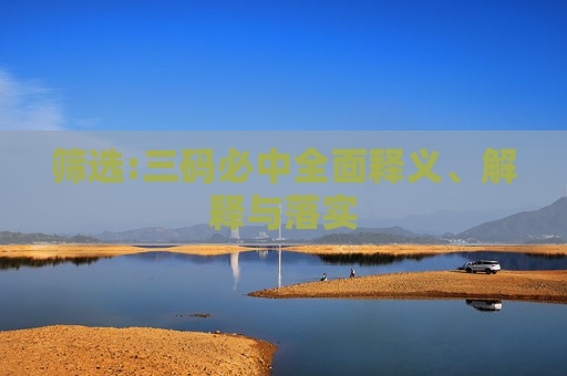 筛选:三码必中全面释义、解释与落实
