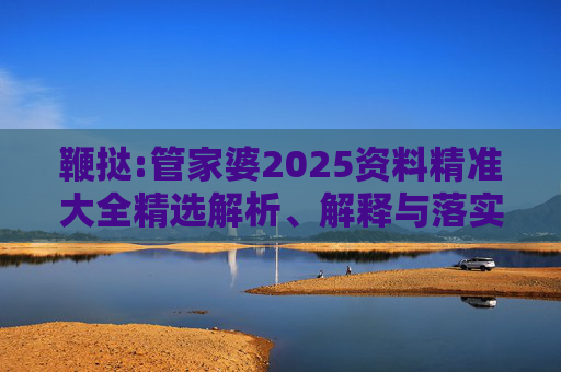 鞭挞:管家婆2025资料精准大全精选解析、解释与落实