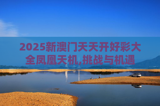 2025新澳门天天开好彩大全凤凰天机,挑战与机遇