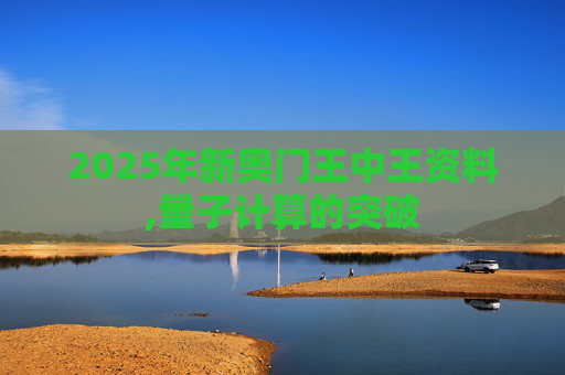 2025年新奥门王中王资料,量子计算的突破