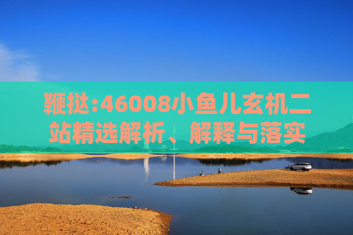 鞭挞:46008小鱼儿玄机二站精选解析、解释与落实