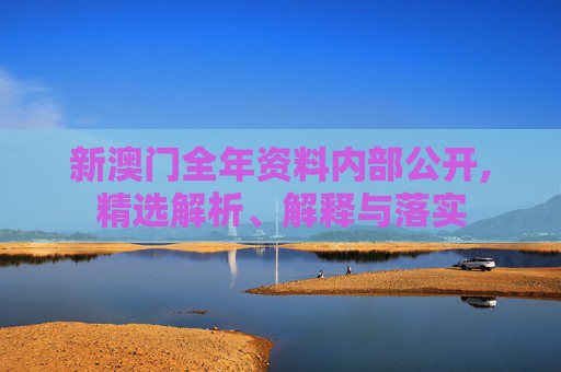 新澳门全年资料内部公开,精选解析、解释与落实