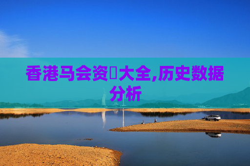 香港马会资枓大全,历史数据分析