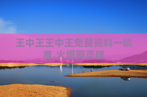 王中王王中王免费资料一精准,火爆网页版