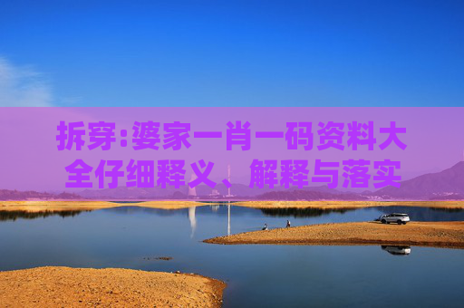 拆穿:婆家一肖一码资料大全仔细释义、解释与落实