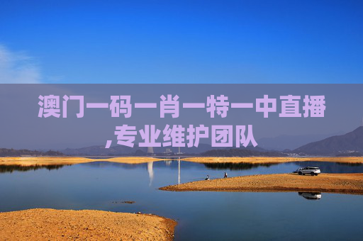 澳门一码一肖一特一中直播,专业维护团队