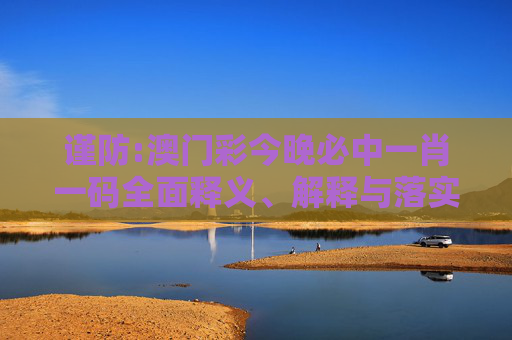 谨防:澳门彩今晚必中一肖一码全面释义、解释与落实