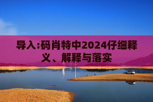 导入:码肖特中2024仔细释义、解释与落实