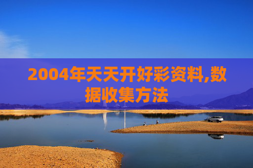 2004年天天开好彩资料,数据收集方法