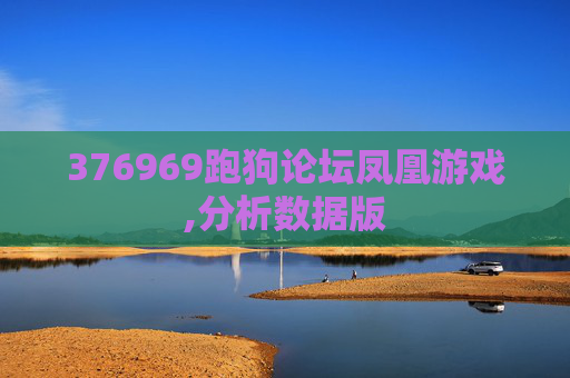 376969跑狗论坛凤凰游戏,分析数据版