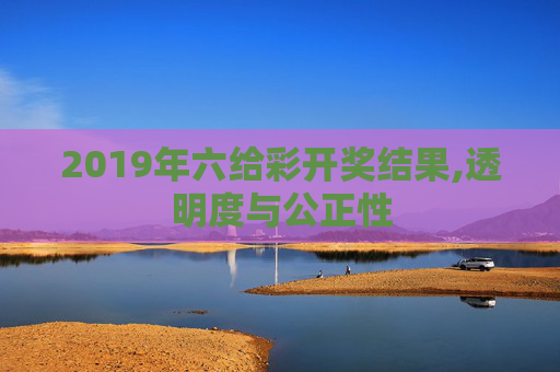 2019年六给彩开奖结果,透明度与公正性