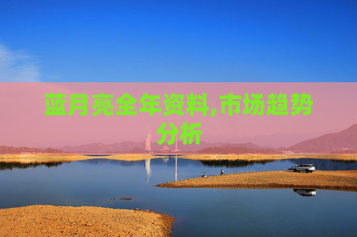 蓝月亮全年资料,市场趋势分析