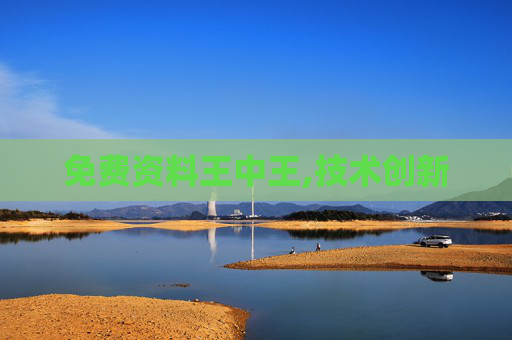 免费资料王中王,技术创新