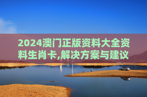 2024澳门正版资料大全资料生肖卡,解决方案与建议