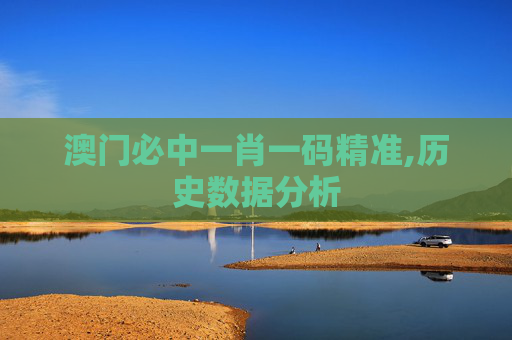 澳门必中一肖一码精准,历史数据分析