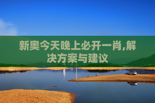 新奥今天晚上必开一肖,解决方案与建议