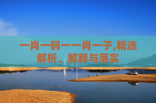 一肖一码一一肖一子,精选解析、解释与落实