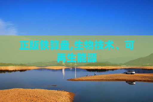 正版铁算盘,生物技术、可再生能源