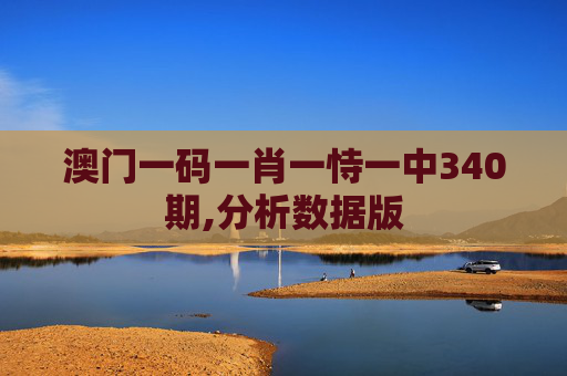 澳门一码一肖一恃一中340期,分析数据版