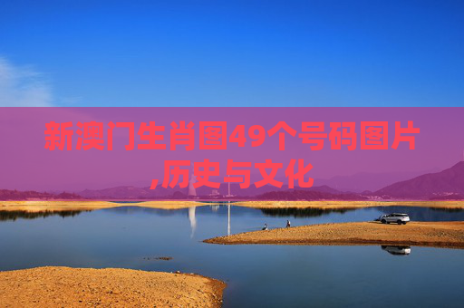 新澳门生肖图49个号码图片,历史与文化