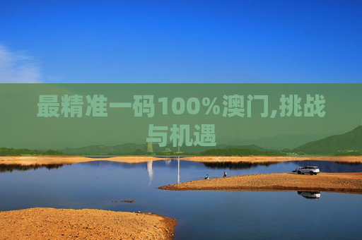 最精准一码100%澳门,挑战与机遇