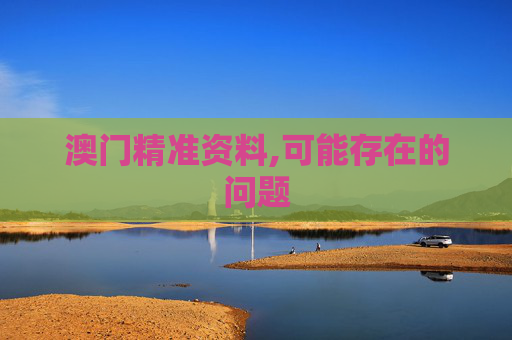 澳门精准资料,可能存在的问题