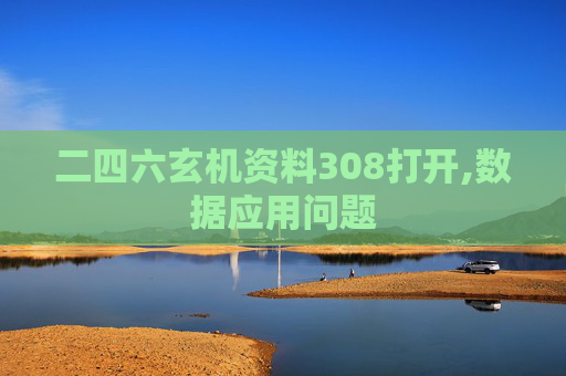 二四六玄机资料308打开,数据应用问题