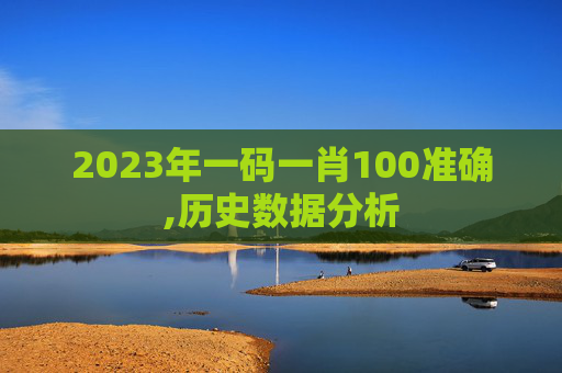 2023年一码一肖100准确,历史数据分析
