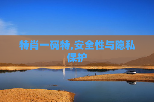 特肖一码特,安全性与隐私保护