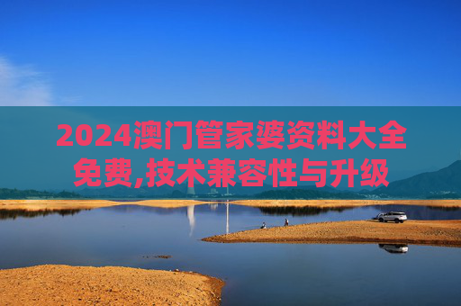 2024澳门管家婆资料大全免费,技术兼容性与升级
