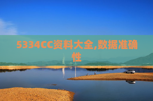 5334CC资料大全,数据准确性