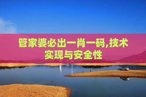 管家婆必出一肖一码,技术实现与安全性