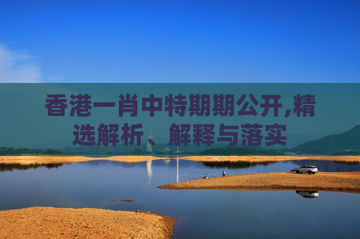 香港一肖中特期期公开,精选解析、解释与落实