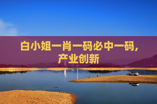 白小姐一肖一码必中一码,产业创新