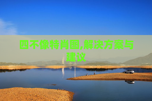 四不像特肖图,解决方案与建议