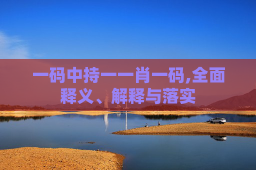 一码中持一一肖一码,全面释义、解释与落实