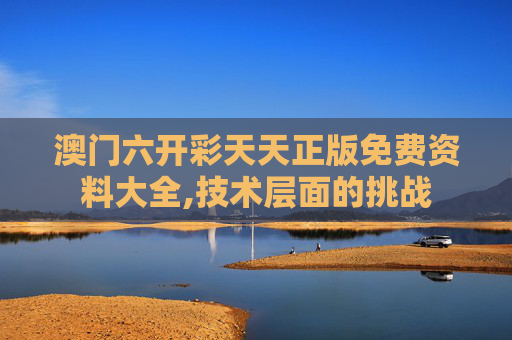 澳门六开彩天天正版免费资料大全,技术层面的挑战