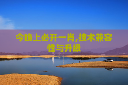 今晚上必开一肖,技术兼容性与升级