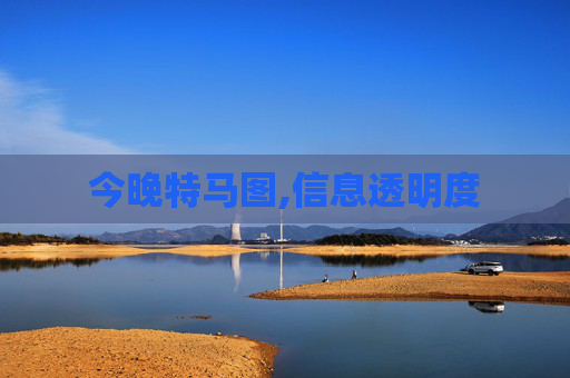 今晚特马图,信息透明度