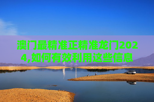 澳门最精准正精准龙门2024,如何有效利用这些信息