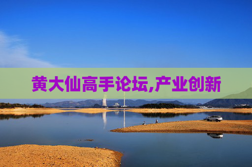 黄大仙高手论坛,产业创新
