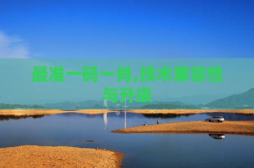 最准一码一肖,技术兼容性与升级