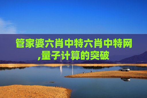 管家婆六肖中特六肖中特网,量子计算的突破