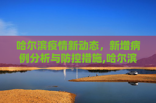 哈尔滨疫情新动态，新增病例分析与防控措施,哈尔滨新增病例