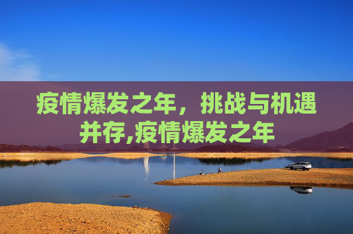 疫情爆发之年，挑战与机遇并存,疫情爆发之年