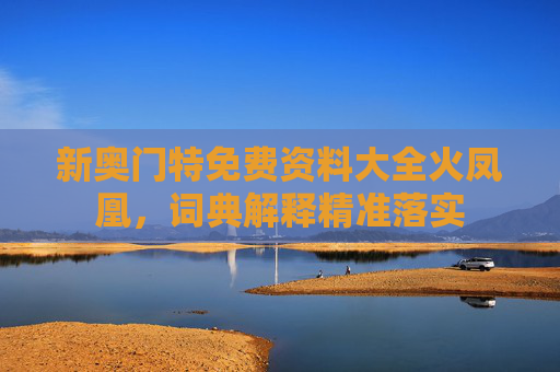 新奥门特免费资料大全火凤凰，词典解释精准落实