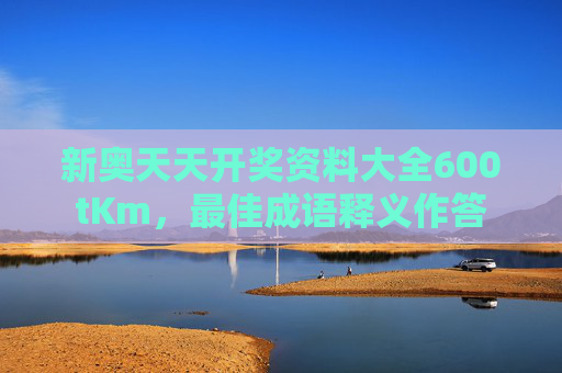 新奥天天开奖资料大全600tKm，最佳成语释义作答