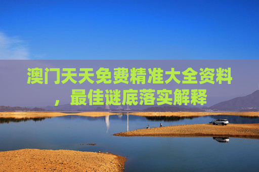 澳门天天免费精准大全资料，最佳谜底落实解释